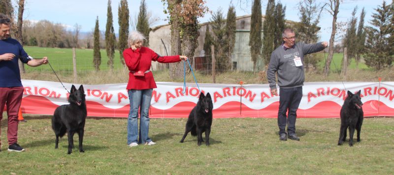 Eleccion de la Mejor hembra 
